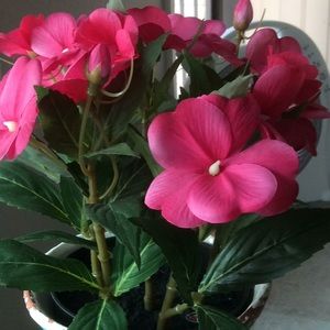 Meet your Posher, Gina